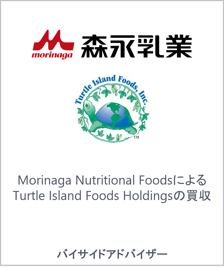 Morinaga nutritional foods turtle island foods holdings jp